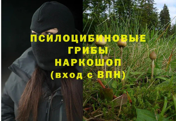 трава Зеленокумск