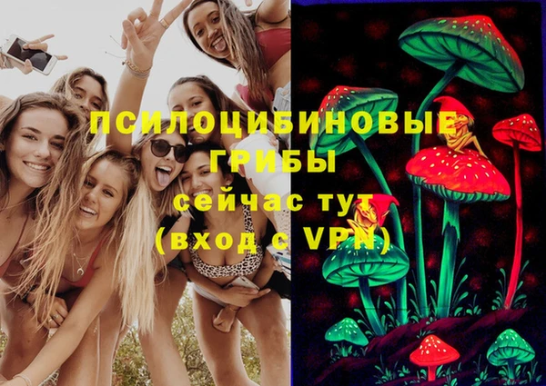 трава Зеленокумск