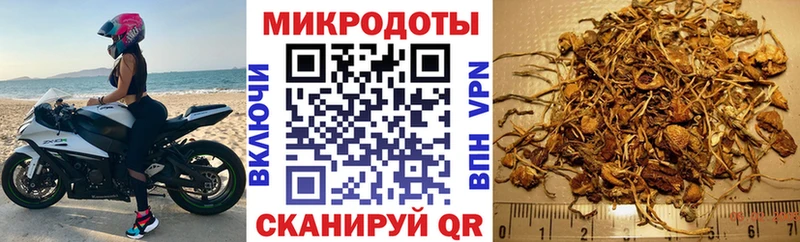 Псилоцибиновые грибы ЛСД  Купить закладки  Дубна 