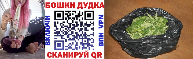 Конопля сатива  Купить где  Дубна 